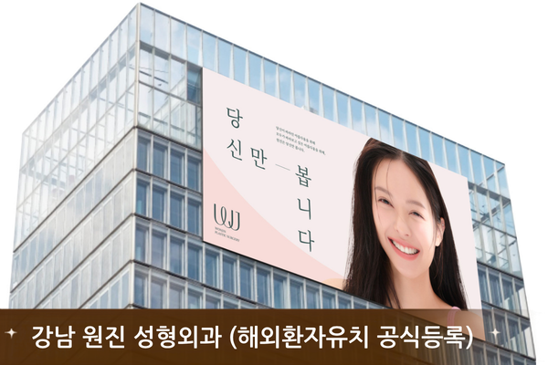 강남 원진 성형외과